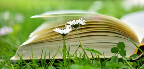 Odoo • Image et Texte